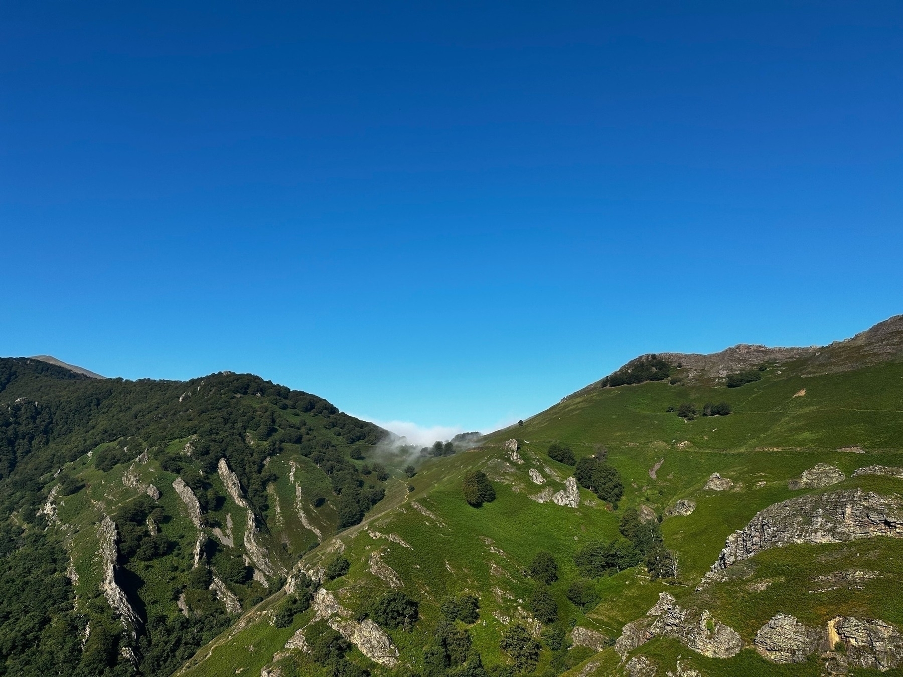 Rolling green hills under a clear blue sky, with a wisp of cloud hovering in a valley.
Spanish: Colinas verdes onduladas bajo un cielo azul claro, con un hilillo de nube flotando en un valle.
Basque: Berde koloreko muino malkartsuak zeru urdin argiaren azpian, laino pirt bat ibarra batean flotatzen.