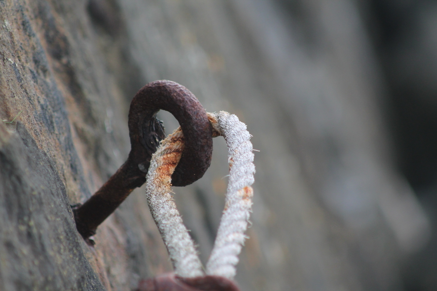 A close up of a rusty iron ring with rope.